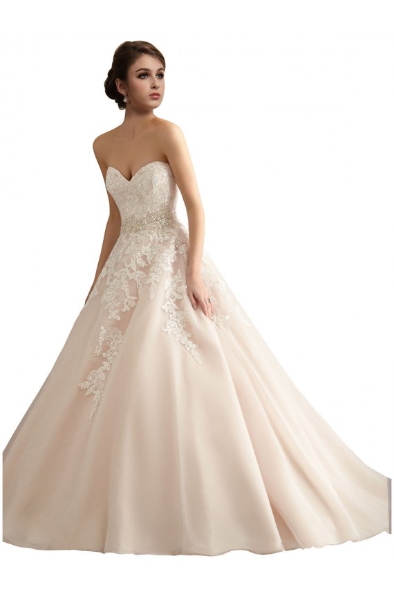 Elfenbein & Champagner Prinzessin V-Ausschnitt Kathedrale Schleppe Tüll Spitze Brautkleider Hersteller
